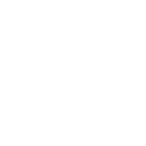 PUF_logo